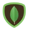 MongoDB